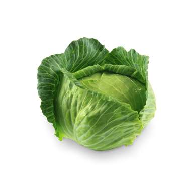 VEGETABLES