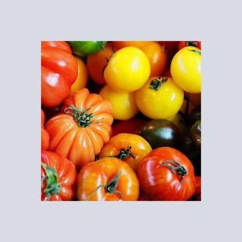 heirloom tomato