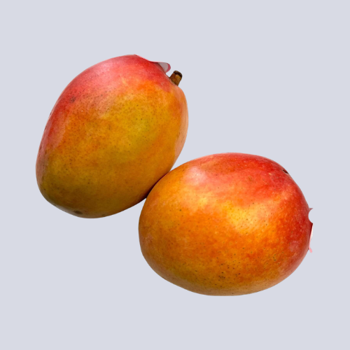Mexican Mango New Season ｜ Each