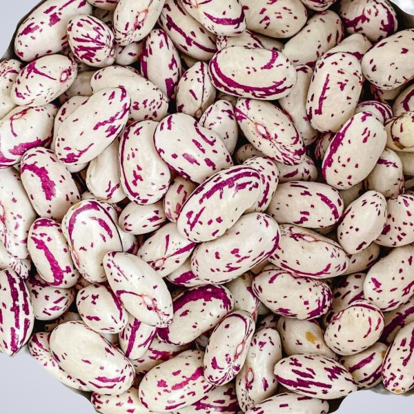 Beans Borlotti FRESH – Per Kg 1