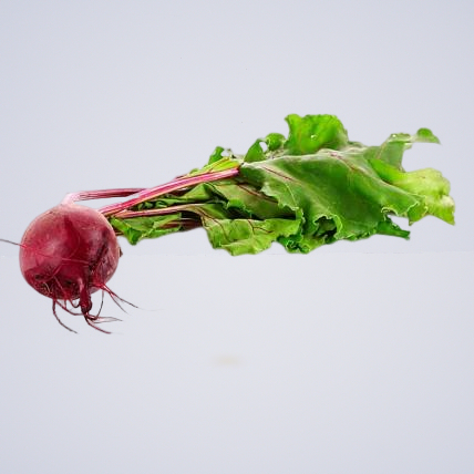 Beetroot – Red In Bunches With Tops On (Large)