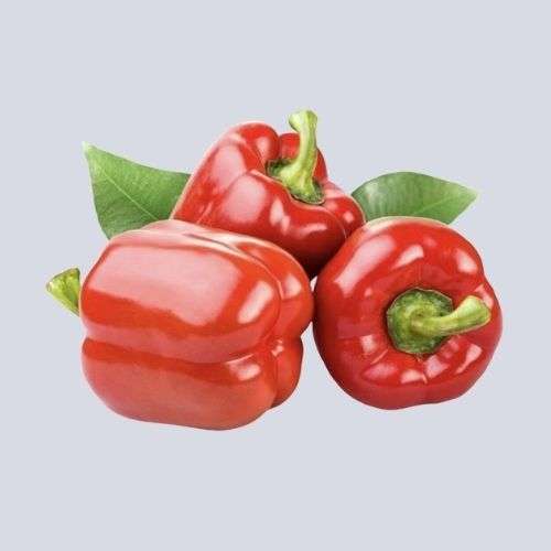 Bivi 产品图 5-14