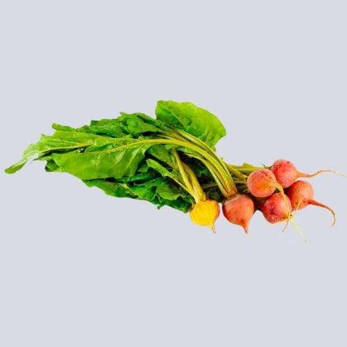 Bivi 产品图 5-3-2