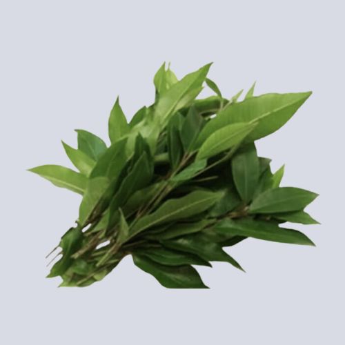 Lemon Verbena – Dried Leaves Native Herbs (100g) | Packet