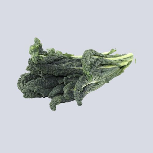 Tuscan Kale Cavalo Nero｜ bunch
