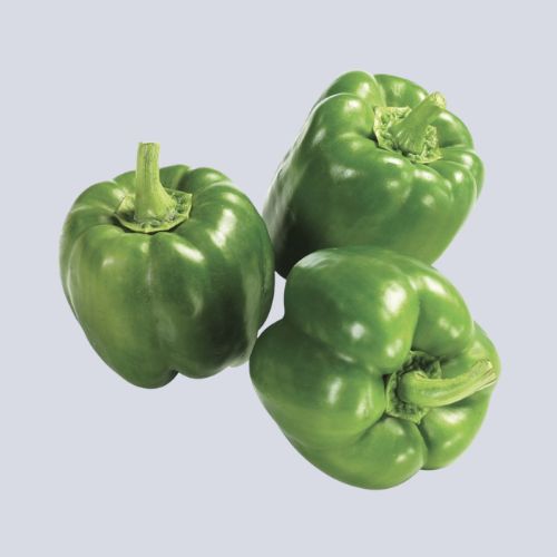Capsicum Green | each