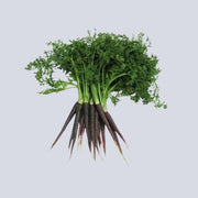 Purple Carrots - Carrots Dutch Purple | bunch