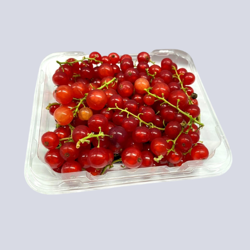 Berries – Red Currants Fresh Punnet |  125g