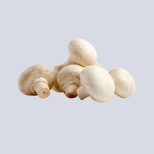 Mushroom – Buttons | 250g or 500g