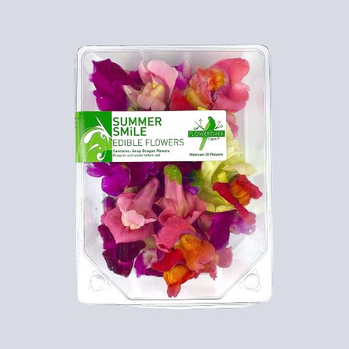 Edible Flowers – Snap Dragon By Flowerdale Farm