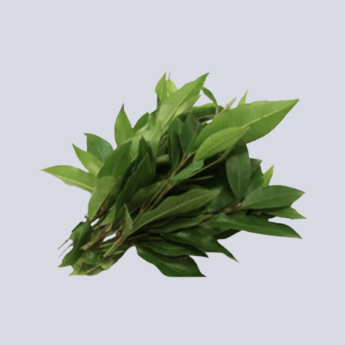 Lemon Myrtle – Dried Leaves Native Herbs (100g) | Packet