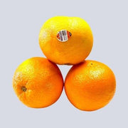 Bivi产品图 3-4