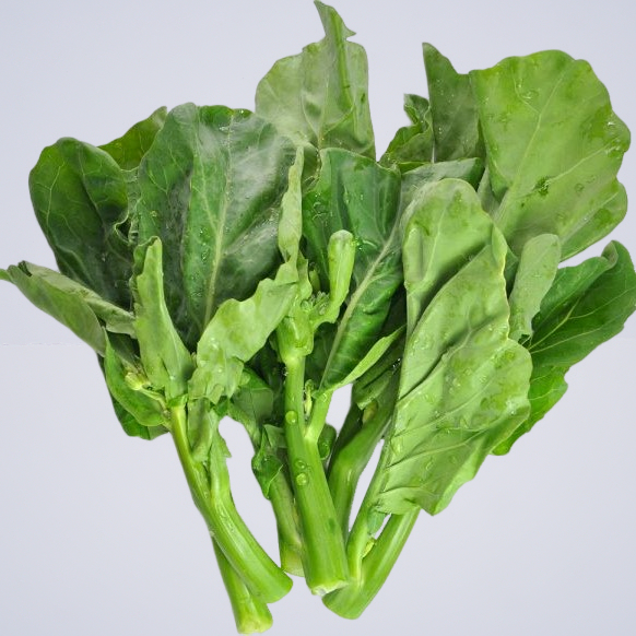 Chinese Broccoli Gai Lan “Asian Style Vegetable”