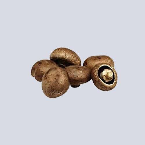 Swiss Brown Mushroom