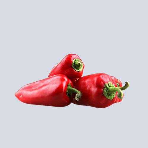产品图第三组-9