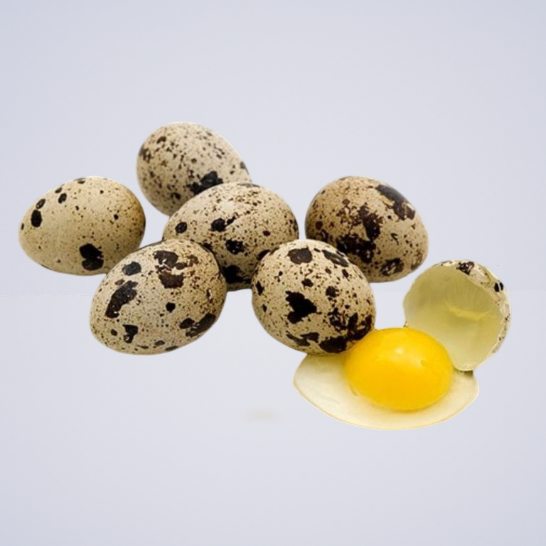 Eggs Quail – Free Range FRESH 2