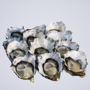 FRESH FISH – Pacific Oysters