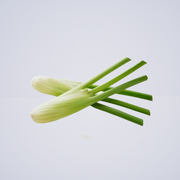Fennel Baby (Small)