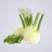 Fennel Large