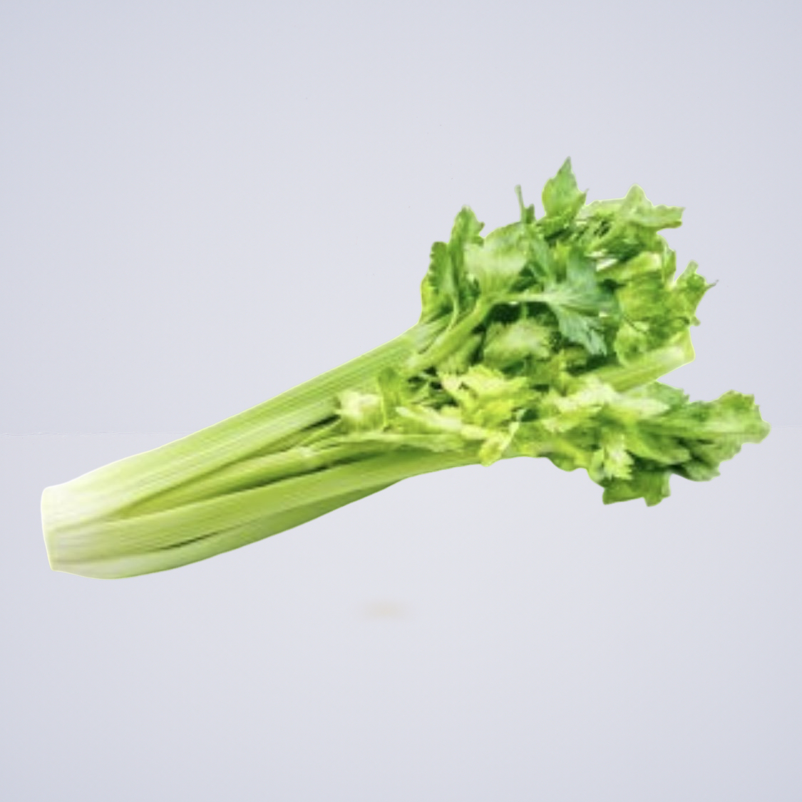 Fresh Celery