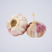 Garlic Bulb – Australian Premium