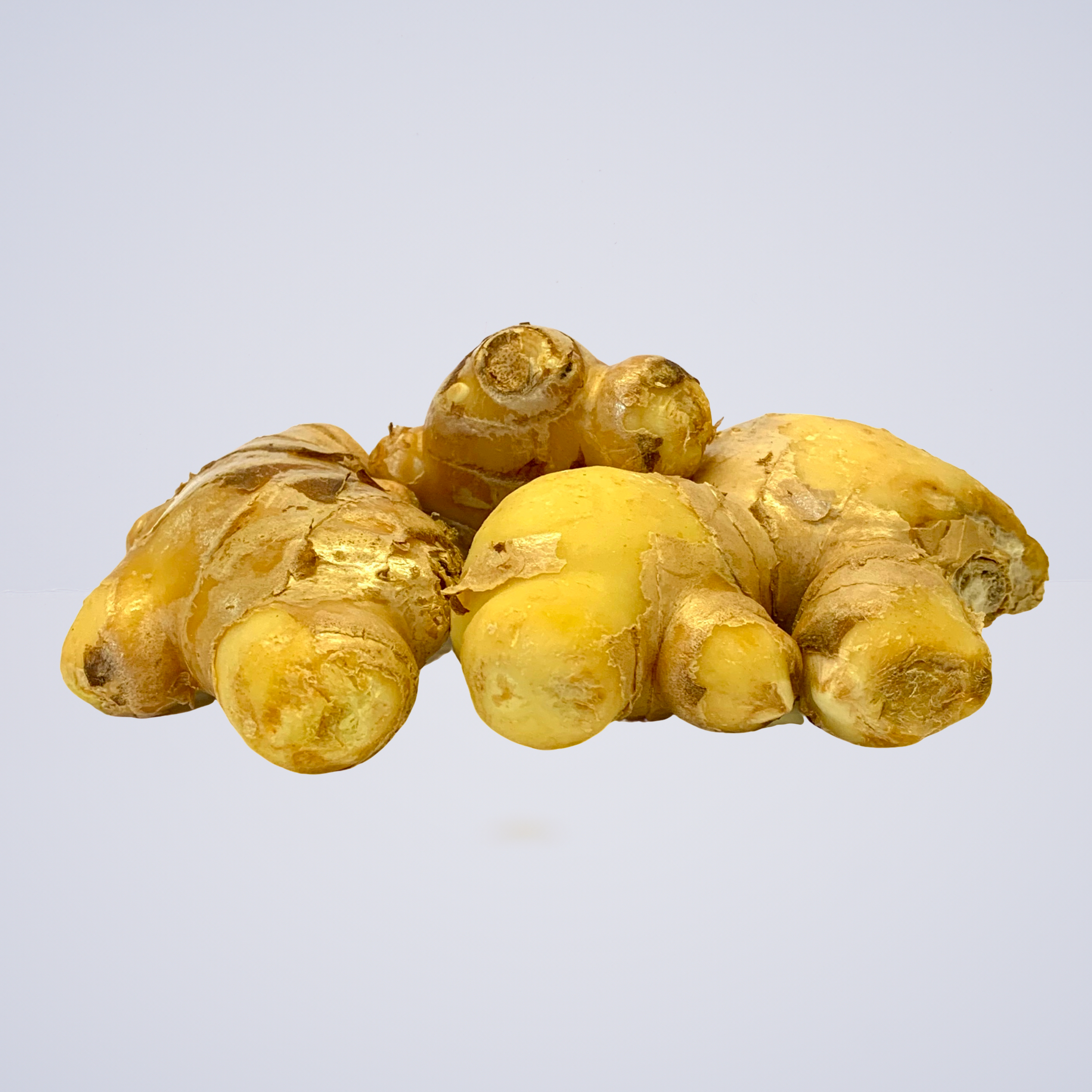 Ginger Knob – Premium