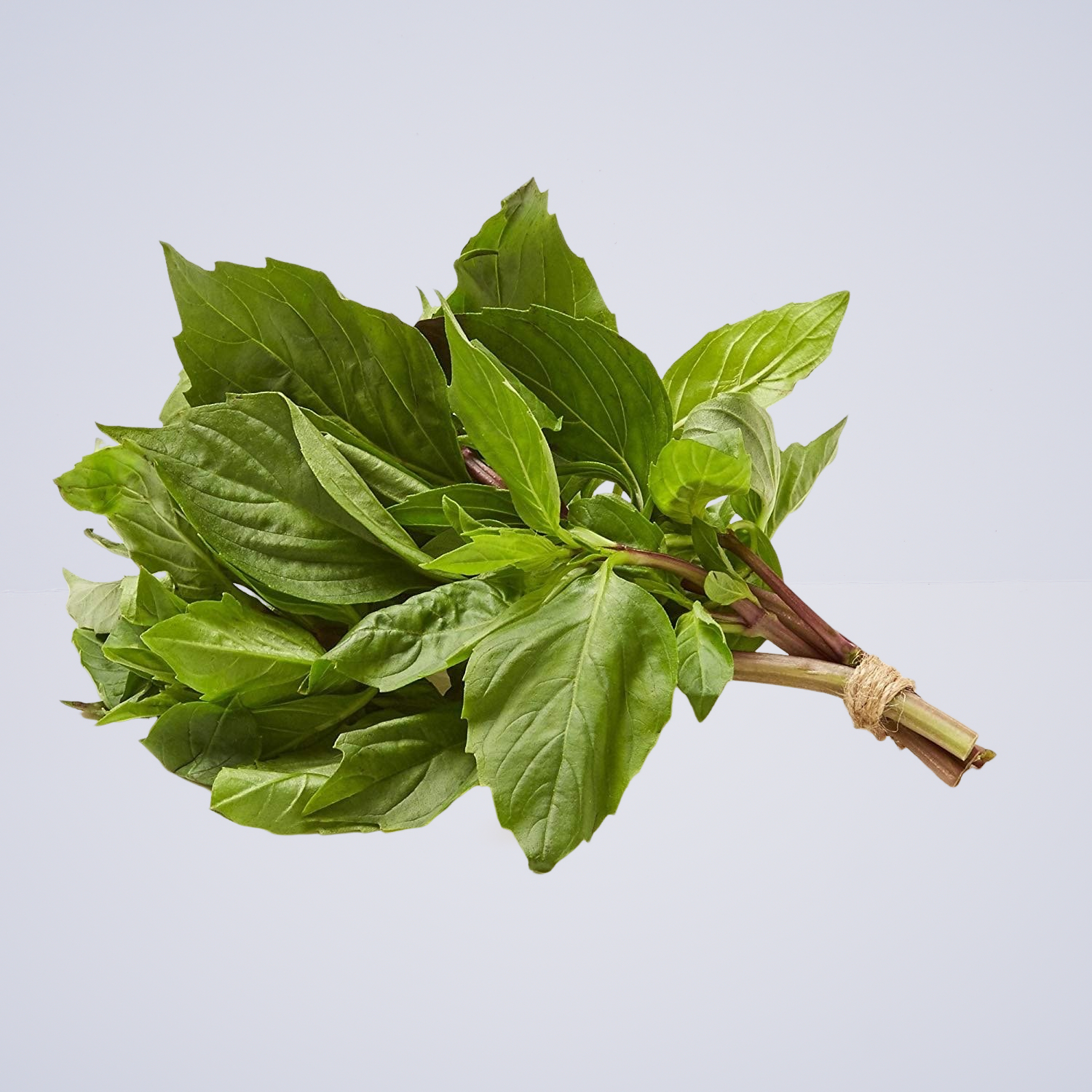 Herb – Basil Thai