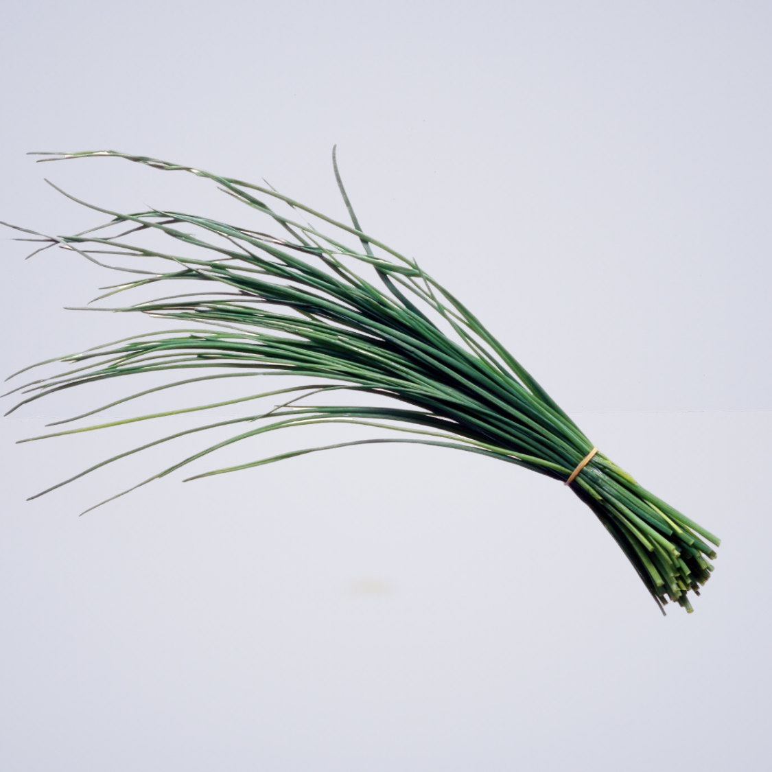 Herb – Chives