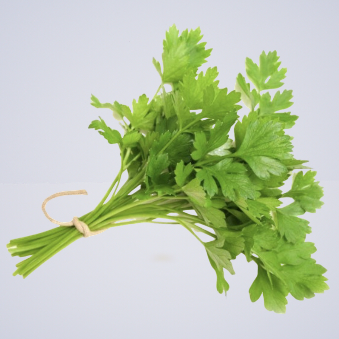 Herb – Parsley Continental Flat Leaf