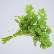 Herb – Parsley Continental Flat Leaf