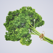 Herb – Parsley Curly Leaf