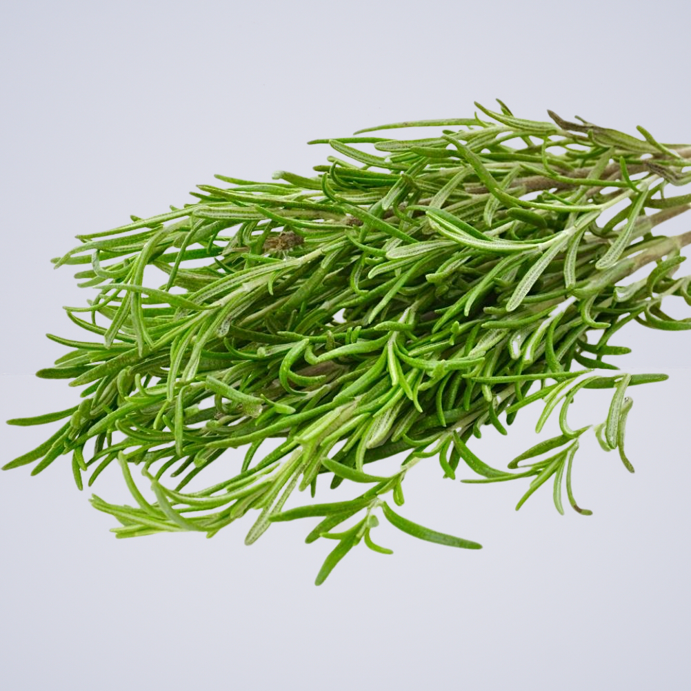 Herb – Rosemary