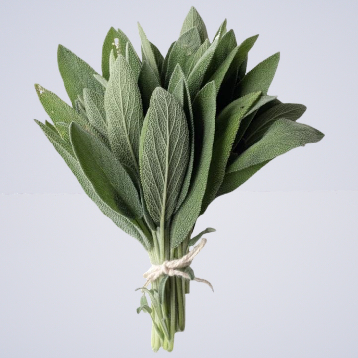 Herb – Sage