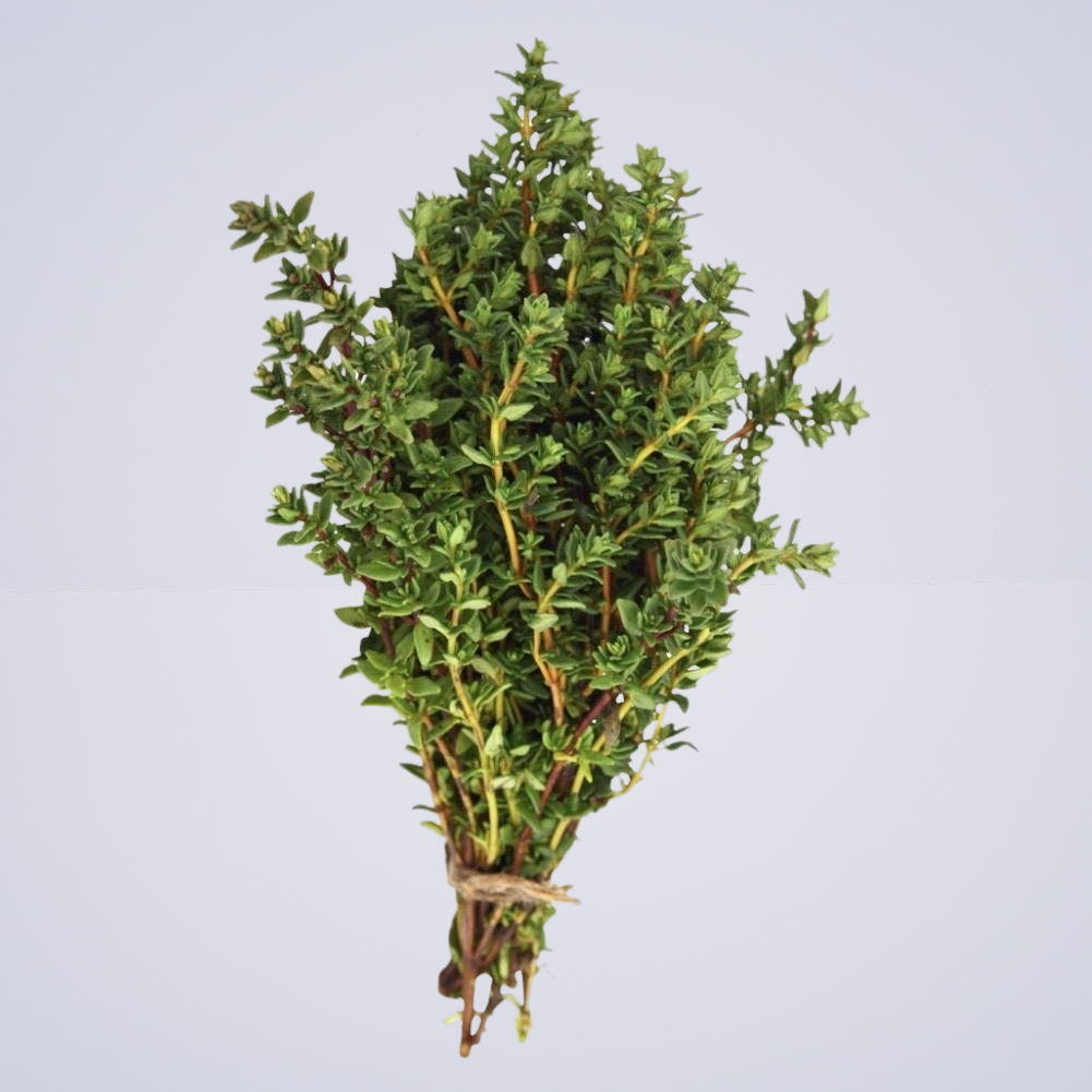 Herb – Thyme