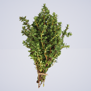 Herb – Thyme