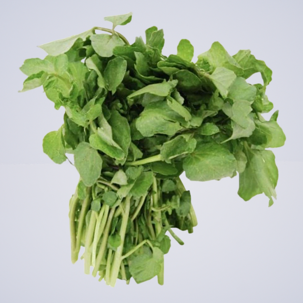 Herb – Watercress