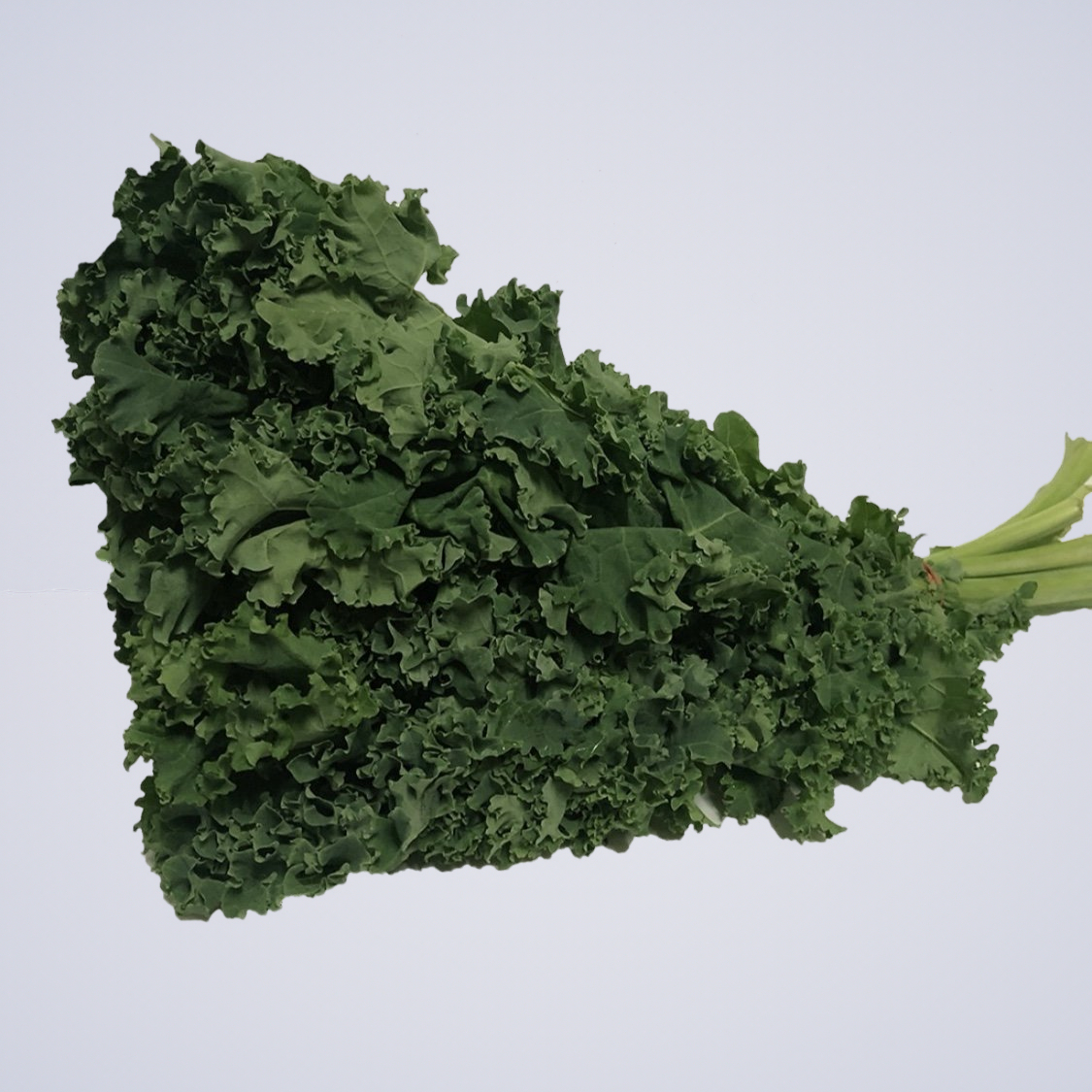 Kale – Green Leaf