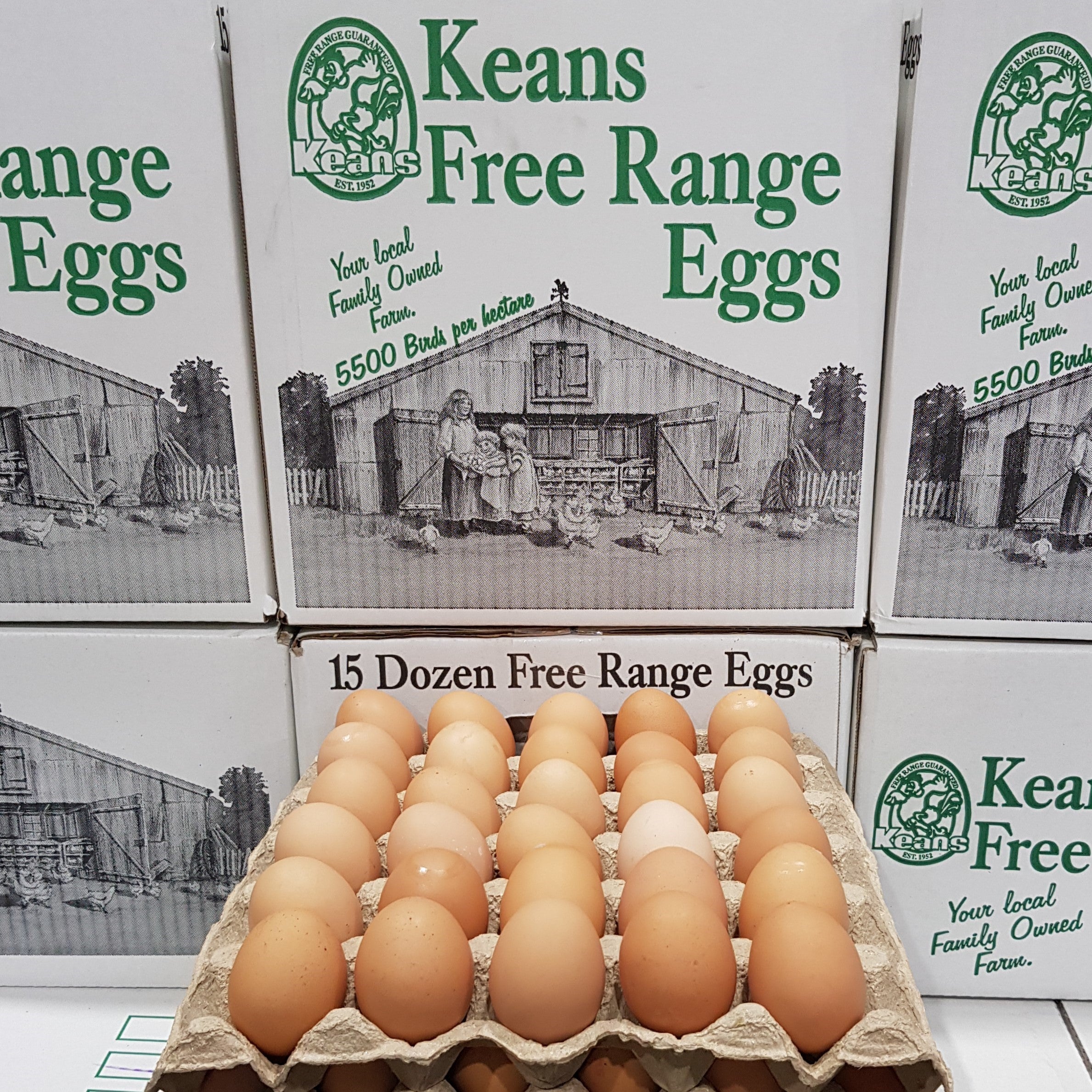 Eggs Free Range Keans 700g ｜ (15doz. Filler Tray Pack Box)
