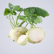 Kohlrabi – Green