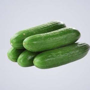 Lebanese Cucumber