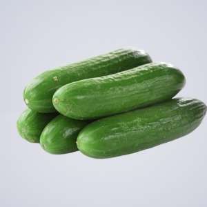 Lebanese Cucumber