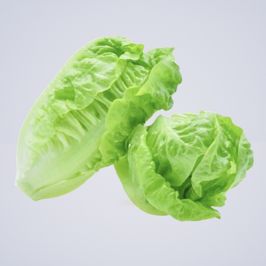 Lettuce – Baby Cos Hearts Twin Pack