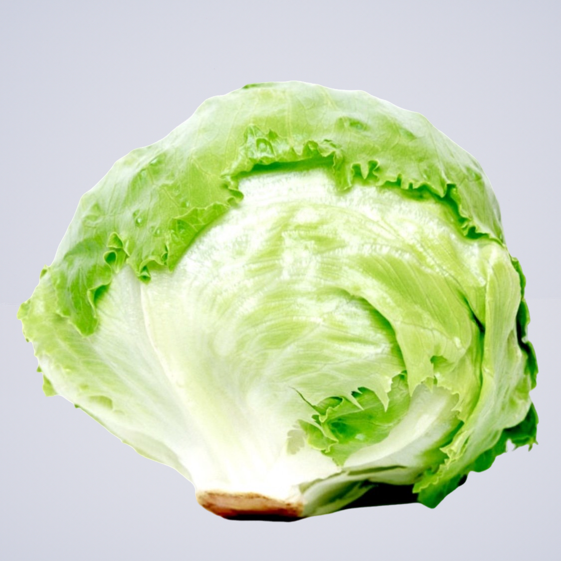 Lettuce – Iceberg