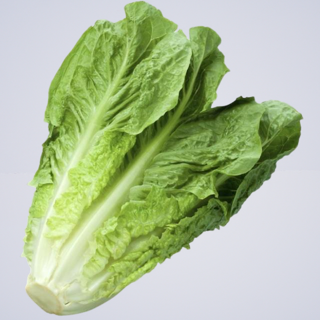 Lettuce – Whole Cos Large