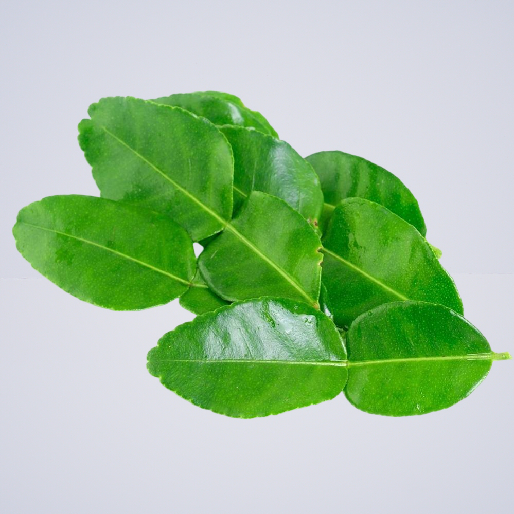Lime Leaves Kaffir