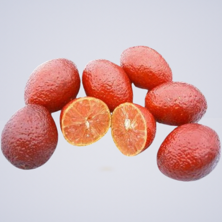 Limes – Blood Limes Whole Citrus Australasica Var. Sanguinea (100g Frozen) 1
