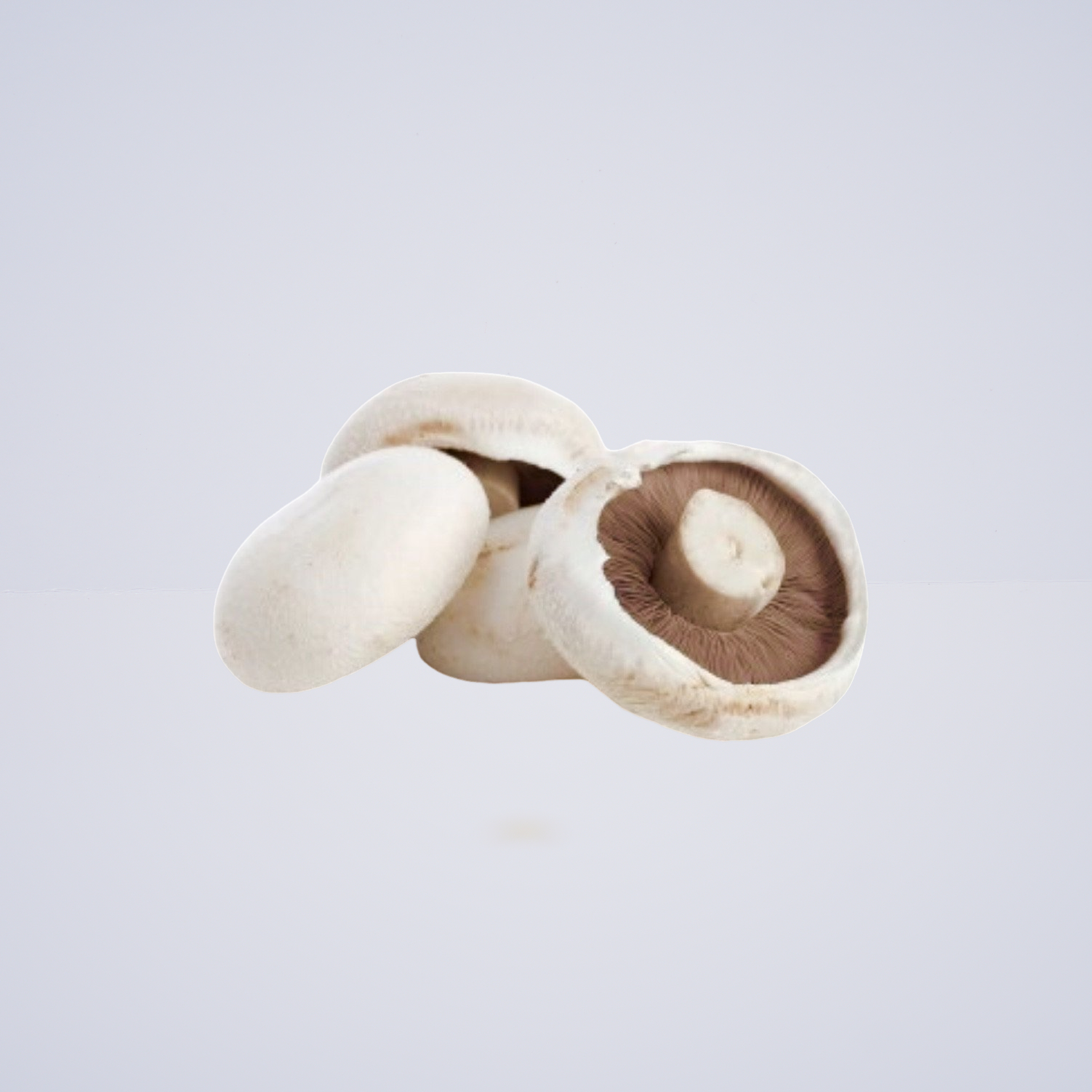 Mushroom – Flats Country Style Breakfast Sized (Small Flat Mushrooms)