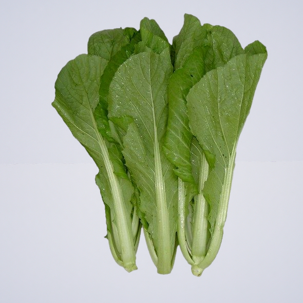 Mustard Greens “Asian Style Vegetable”