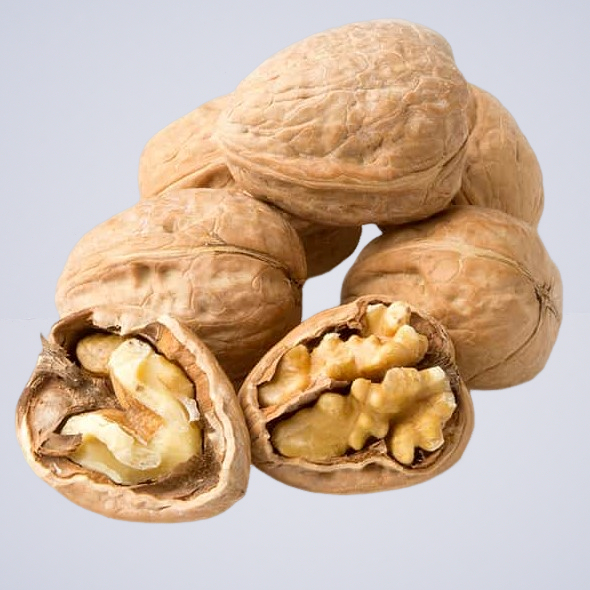 Nuts – Walnuts In The Shell