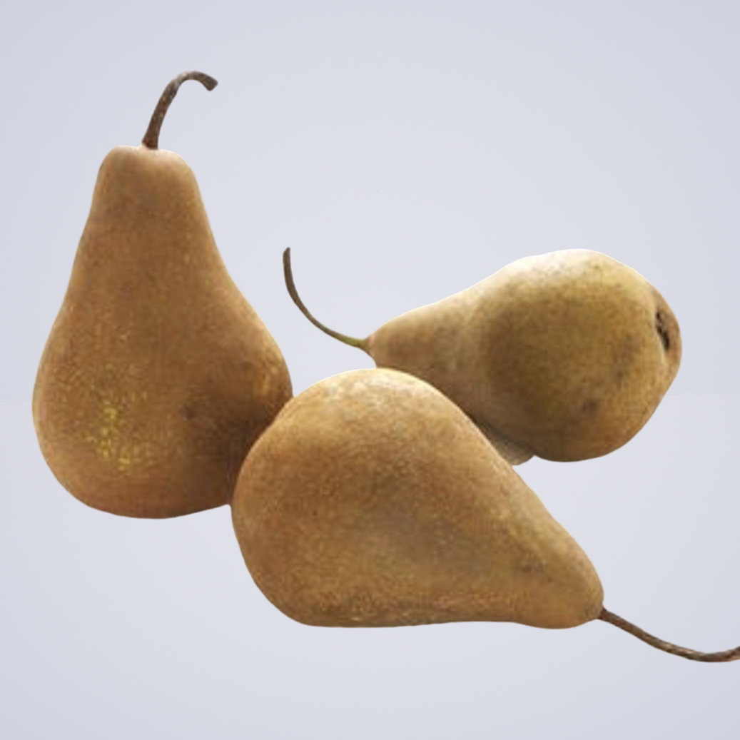 Pears – Beurre Bosc Brown Pear